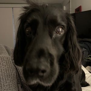 Meet your Posher, Stephen